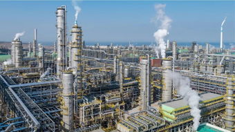 聚酯工廠為何賣(mài)力銷(xiāo)貨卻難獲織造青睞 無(wú)利可圖的紡織市場(chǎng)與霓虹燈下的困局