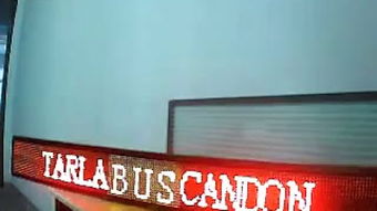 飛龍電子 點(diǎn)亮商業(yè)空間的藝術(shù)——為燈箱廠量身打造的電子霓虹燈案例賞析